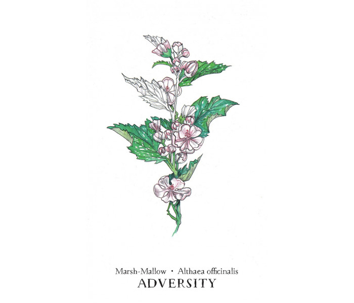 Ботанический Оракул - Hedgewitch Botanical Oracle. Llewellyn