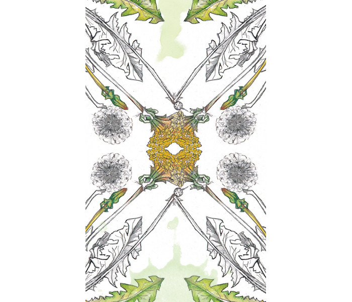 Ботанический Оракул - Hedgewitch Botanical Oracle. Llewellyn