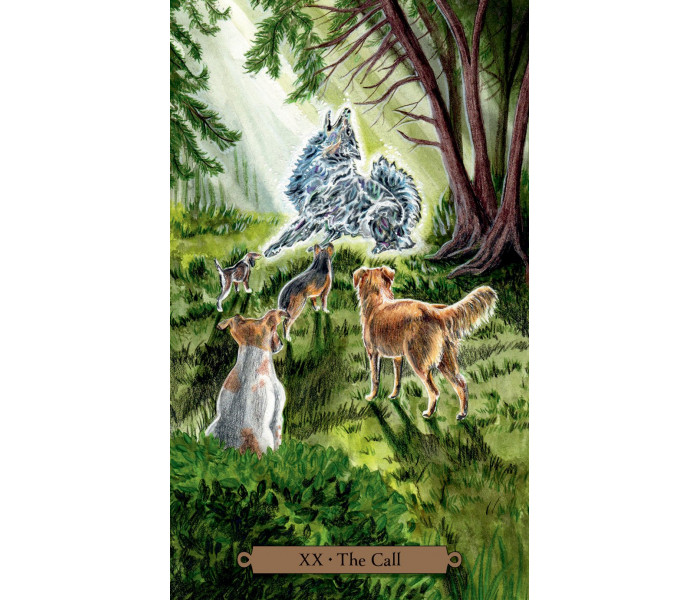 Таро Чарівних Собак - Magical Dogs Tarot. Llewellyn