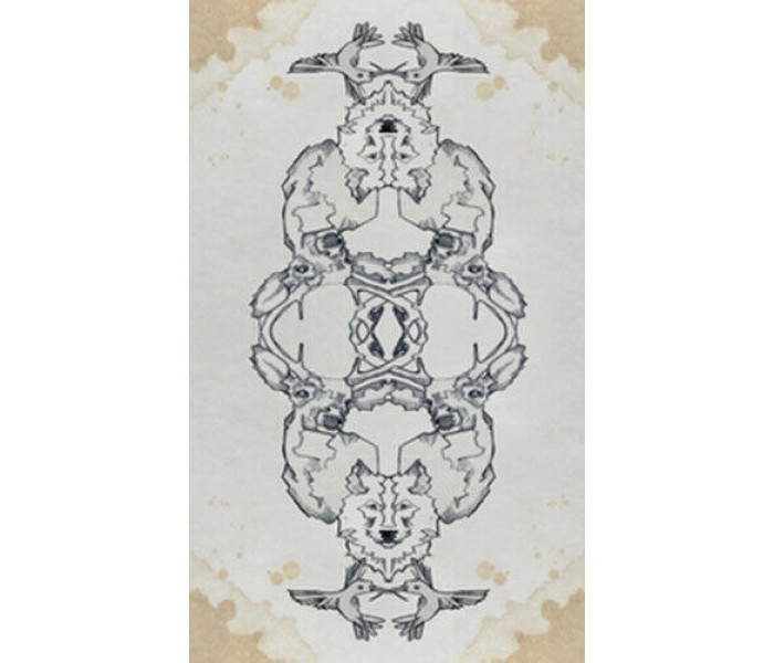 Таро Інших - Otherkin Tarot. Llewellyn