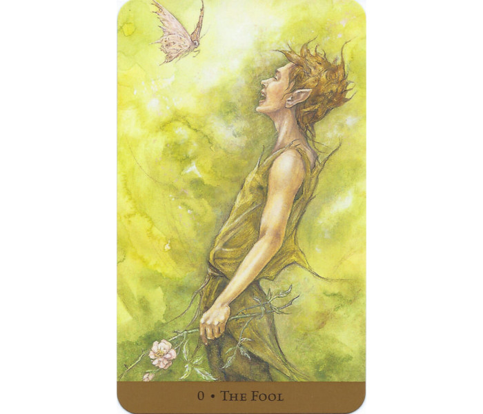Таро Скрытого Царства - Tarot Of The Hidden Realm. Llewellyn