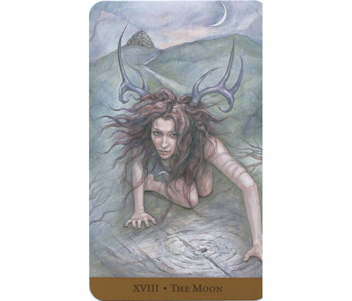 Таро Скрытого Царства - Tarot Of The Hidden Realm. Llewellyn