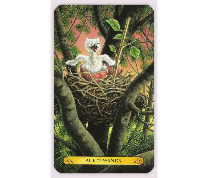 Таро Сов - Tarot of the Owl. Llewellyn