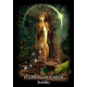 Оракул Эволюция души - Evolution of the Soul Oracle Cards. Solarus
