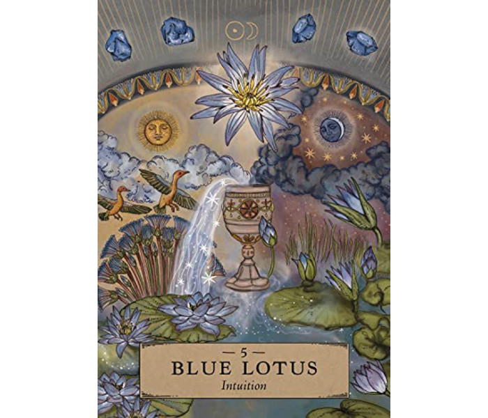 Оракул Травяной Астрологии - Herbal Astrology Oracle Cards. Hay House