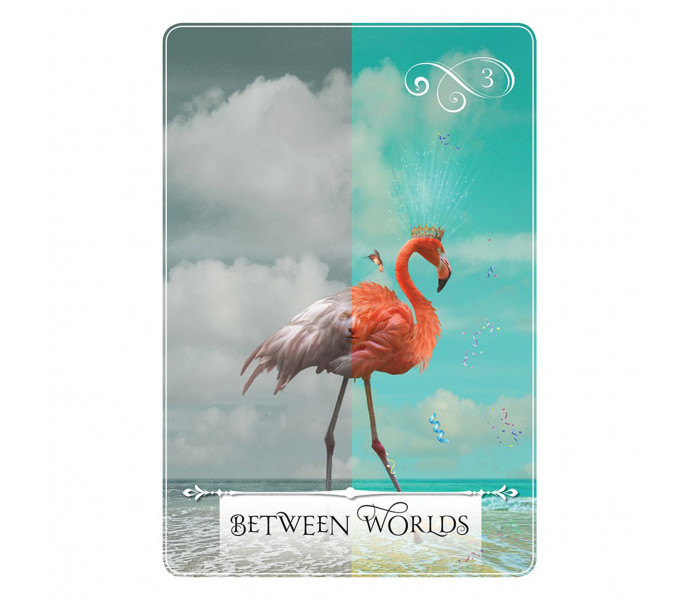 Карты "Мудрость оракула" - Wisdom of the Oracle Divination Cards. Hay House