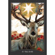 Таро Хранитель Ночі - Guardian Of The Night Tarot. Hay House