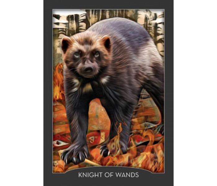 Таро Хранитель Ночі - Guardian Of The Night Tarot. Hay House