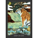 Таро Хранитель Ночі - Guardian Of The Night Tarot. Hay House