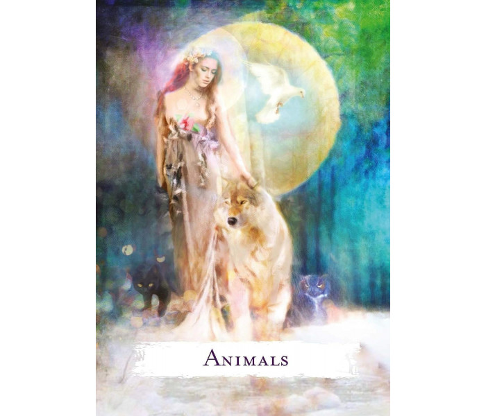 Карти оракула "Заклинання" - Spellcasting Oracle Cards. Hay House