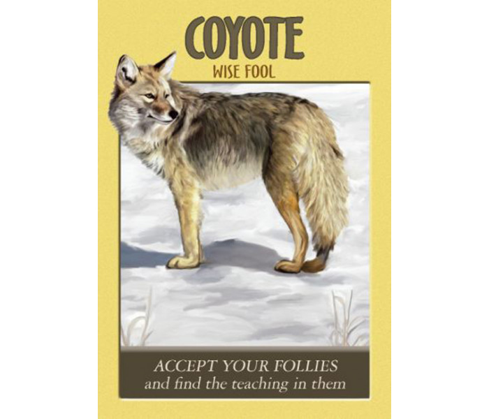Оракул Енергетичних Тварин - Power Animal Oracle Сards. Hay House