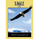 Оракул Енергетичних Тварин - Power Animal Oracle Сards. Hay House