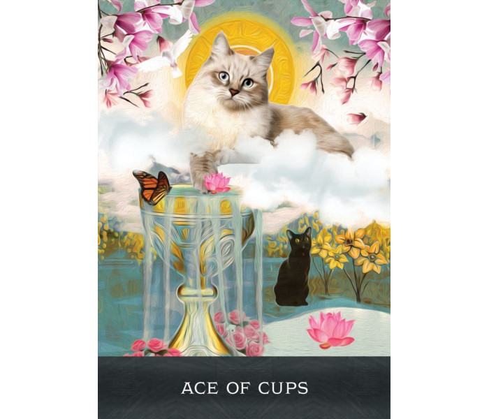 Таро Допитливих Котів Грімалкіна - Grimalkins Curious Cats Tarot. Hay House