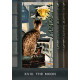 Таро Допитливих Котів Грімалкіна - Grimalkins Curious Cats Tarot. Hay House