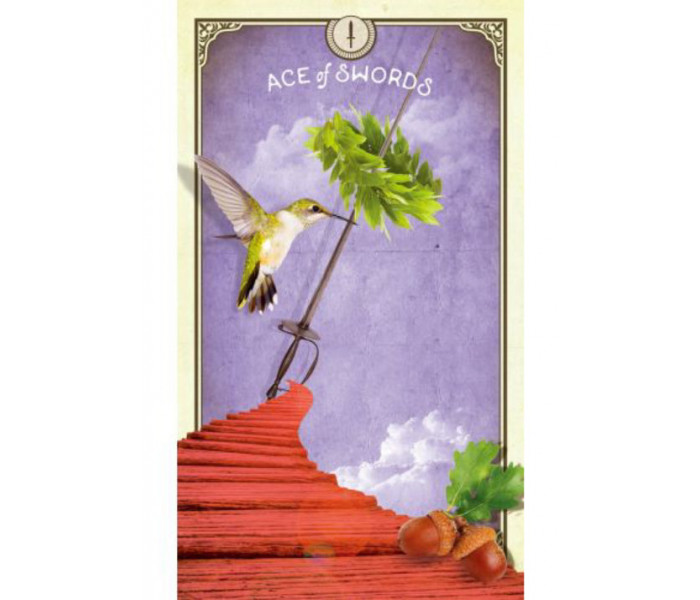 Карти Таро Цікавих Істот - The Tarot of Curious Creatures Cards. Hay House
