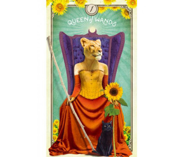 Карти Таро Цікавих Істот - The Tarot of Curious Creatures Cards. Hay House