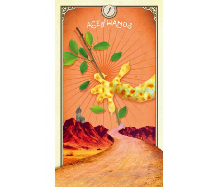 Карти Таро Цікавих Істот - The Tarot of Curious Creatures Cards. Hay House