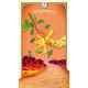Карти Таро Цікавих Істот - The Tarot of Curious Creatures Cards. Hay House