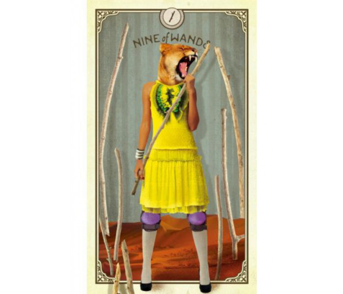 Карти Таро Цікавих Істот - The Tarot of Curious Creatures Cards. Hay House