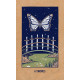 Transient Light Tarot Cards. Hay House