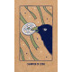Transient Light Tarot Cards. Hay House