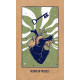 Transient Light Tarot Cards. Hay House