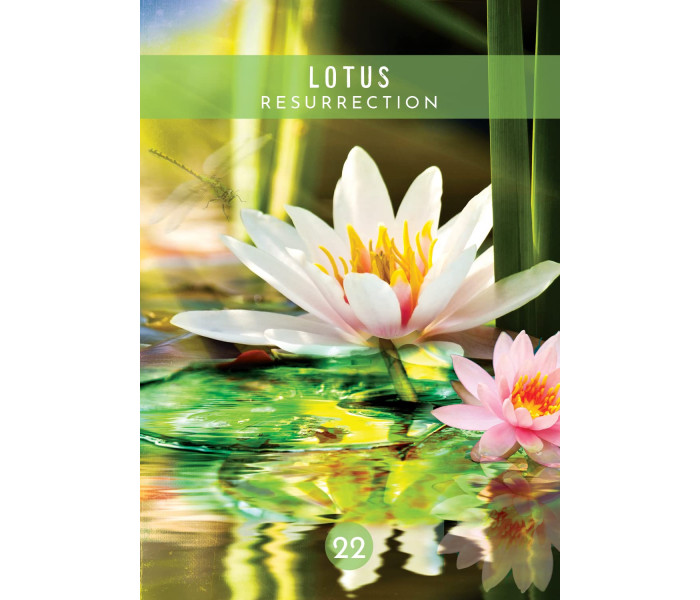 Оракул Послання Духів Природи - Messages from the Spirits of Nature Oracle Cards. Hay House