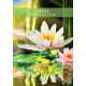 Оракул Послання Духів Природи - Messages from the Spirits of Nature Oracle Cards. Hay House
