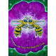 Оракул Ткача Сновидений - The Dream Weaver’s Oracle Cards. Hay House