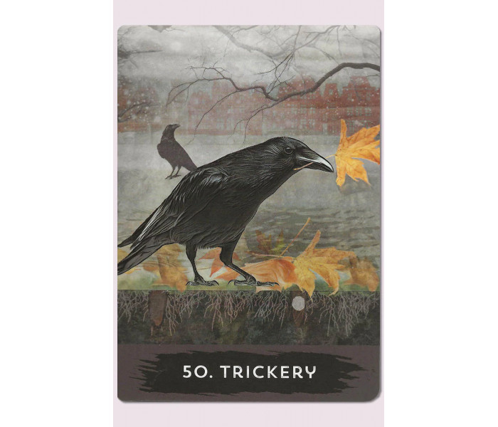 Оракул Міського Ворона - Urban Crow Oracle Cards. Hay House