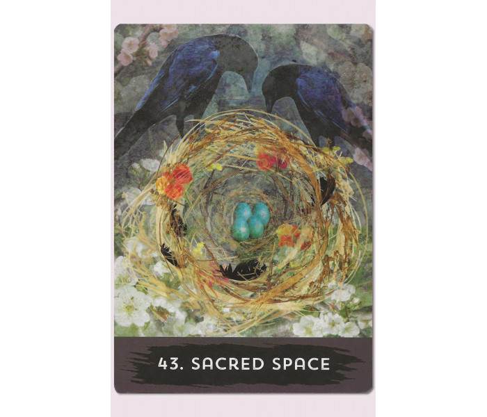 Оракул Міського Ворона - Urban Crow Oracle Cards. Hay House