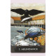 Оракул Міського Ворона - Urban Crow Oracle Cards. Hay House