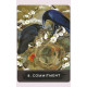 Оракул Міського Ворона - Urban Crow Oracle Cards. Hay House