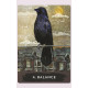 Оракул Міського Ворона - Urban Crow Oracle Cards. Hay House
