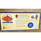 Карточная игра Волшебник Deluxe Edition - Wizard Deluxe Edition Card Game. US Games Systems