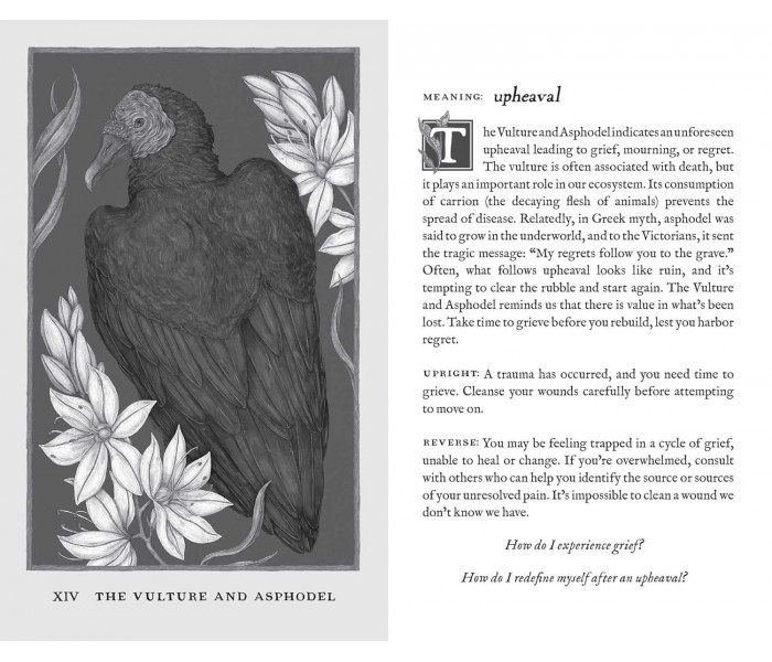 Оракул Лесные Стражи - Woodland Wardens Oracle Cards. Andrews McMeel