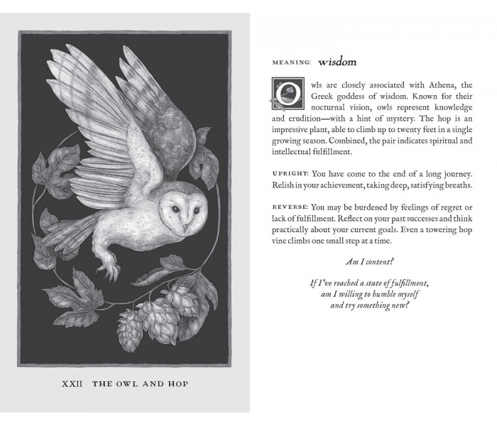 Оракул Лесные Стражи - Woodland Wardens Oracle Cards. Andrews McMeel