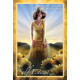Оракул Чакра Инсайт - Chakra Insight Oracle Cards. Blue Angel