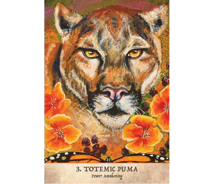 Оракул Воїнів Землі - Earth Warriors Oracle Cards. Blue Angel