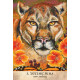 Оракул Воїнів Землі - Earth Warriors Oracle Cards. Blue Angel