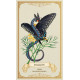 Оракул Зачарованих Квітів - Enchanted Blossoms Empowerment Oracle Cards. Blue Angel