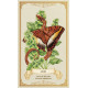 Оракул Зачарованих Квітів - Enchanted Blossoms Empowerment Oracle Cards. Blue Angel