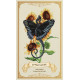 Оракул Зачарованих Квітів - Enchanted Blossoms Empowerment Oracle Cards. Blue Angel