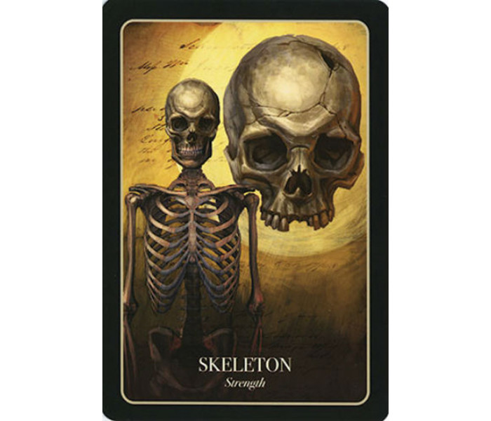 Оракул Хэллоуина - The Halloween Oracle Cards. Blue Angel