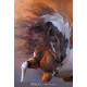 Оракул Священного Коня - Oracle of the Sacred Horse. Blue Angel