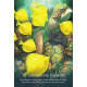 Оракул Шепот Океана - Whispers of The Ocean Oracle Cards. Blue Angel