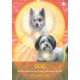 Архангельський Оракул Тварин - Archangel Animal Oracle. Hay House