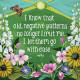 Афірмації для прощення - Affirmations For Forgiveness Cards. Hay House