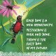 Афірмації для прощення - Affirmations For Forgiveness Cards. Hay House