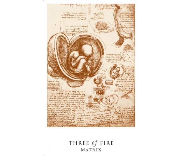 Набір Таро Загадка да Вінчі - The Da Vinci Enigma Tarot Book Set. Schiffer Publishing